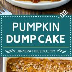 Pumpkin Dump Cake Recipe | Pumpkin Cake | Pumpkin Pie Cake #pumpkin #cake #pecans #fall #thanksgiving #dessert #dinneratthezoo