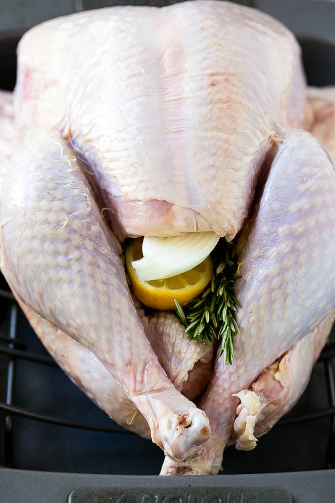 A raw bird with onion, lemon and herbs in the cavity.