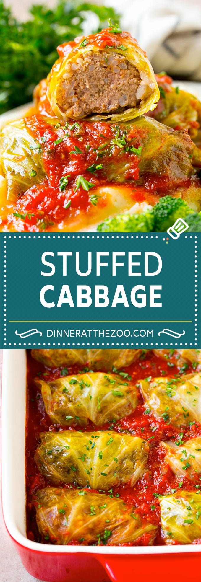 Stuffed Cabbage Rolls - Dinner at the Zoo