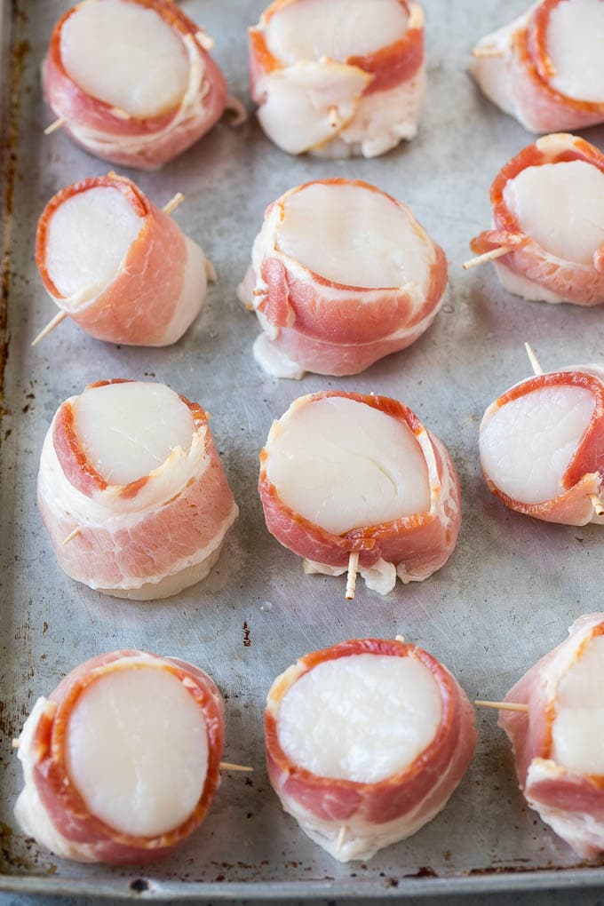 Raw scallops wrapped in uncooked bacon on a sheet pan.