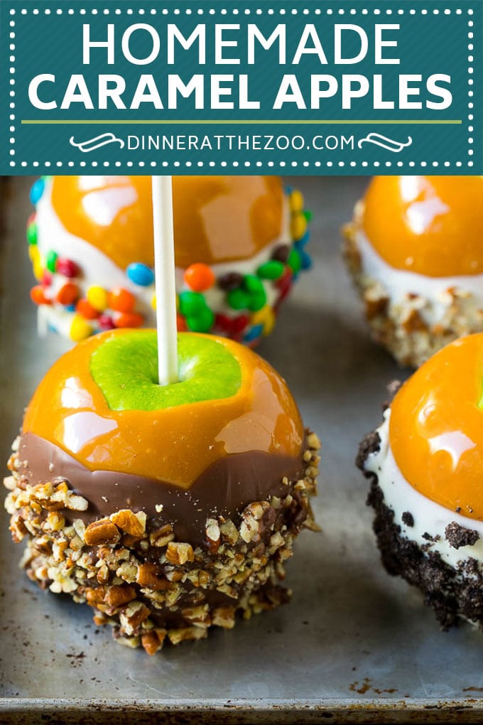 Caramel Apples Recipe | Dipped Apples | Apple Dessert #apples #caramel #chocolate #dessert #fall #dinneratthezoo