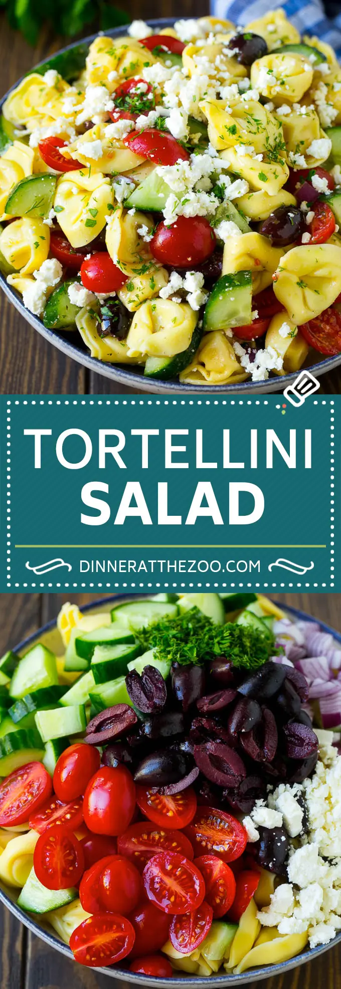 Salada Grega de Tortellini Receita | Salada de Tortellini | Salada Grega de Tortellini | Salada Grega #grego #tortellini #pasta #salada #cucumbers #olives #dinneratthezoo