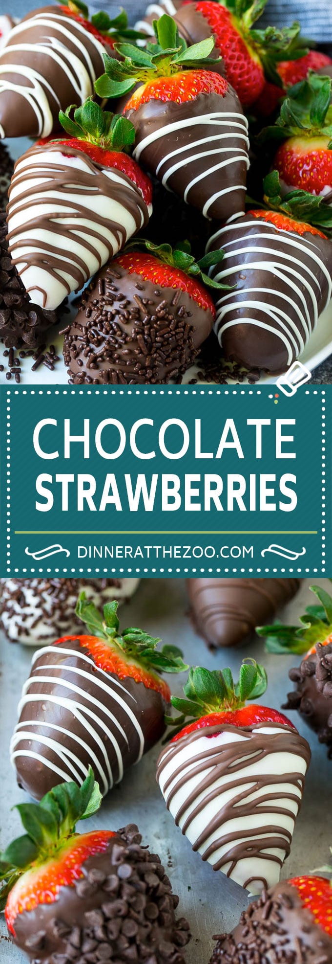 Chocolate Covered Strawberries Recipe | Chocolate Dipped Strawberries | Strawberry Dessert #chocolate #strawberry #glutenfree #dessert #dinneratthezoo