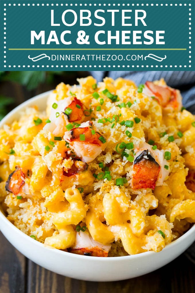 Lobster Mac And Cheese Dinner At The Zoo