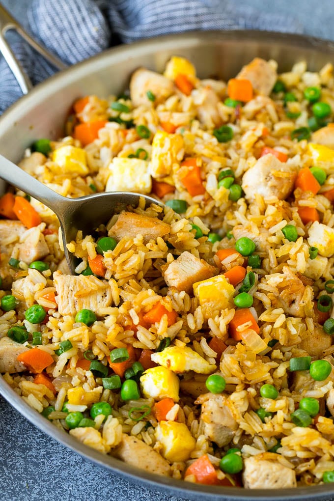 Chicken Fried Rice - Dinner at the Zoo