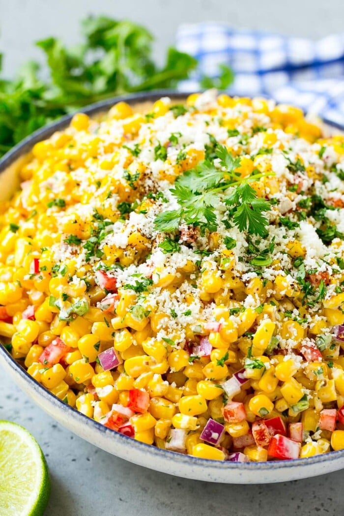 Mexican Corn Salad Dinner at the Zoo