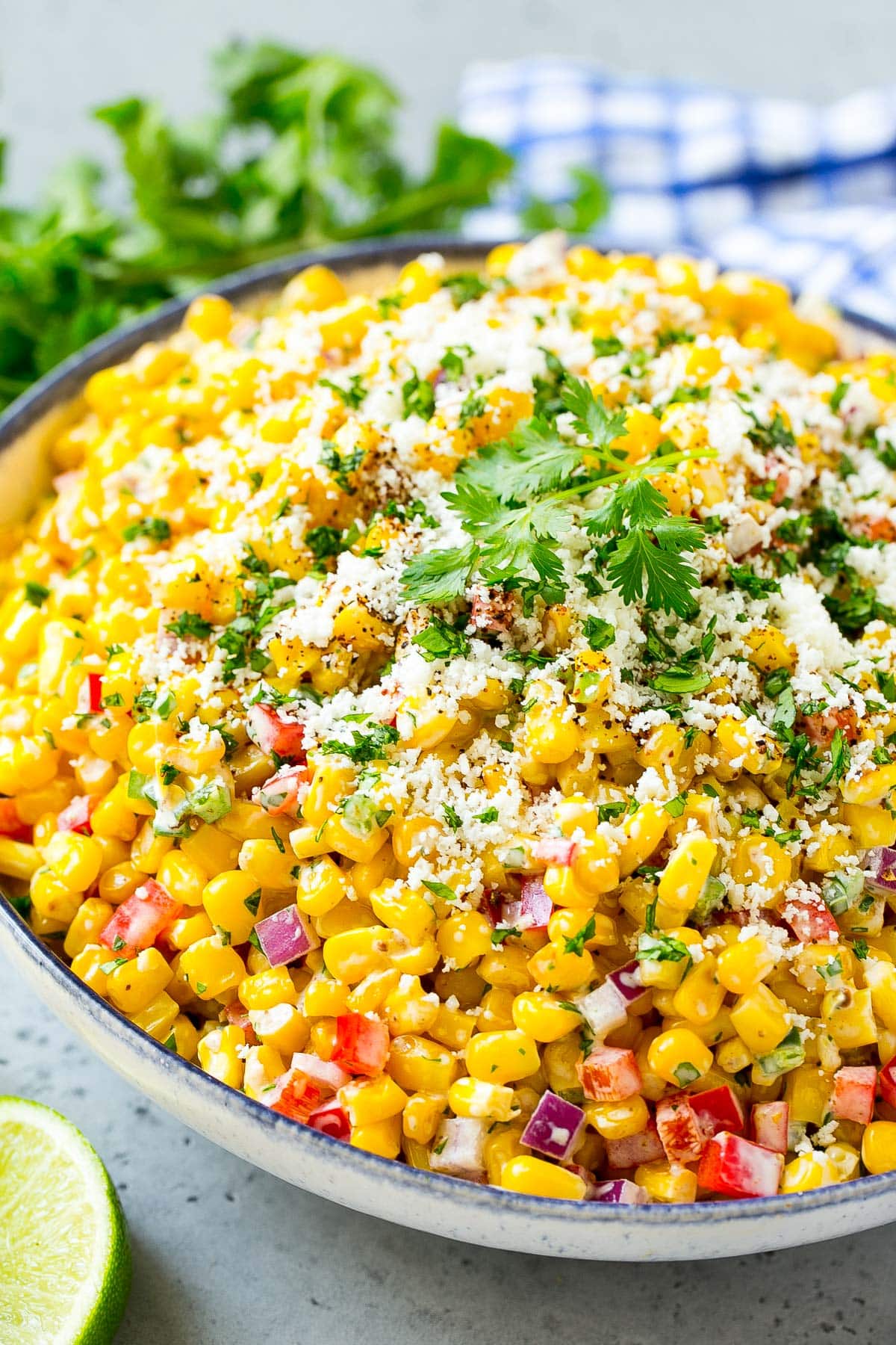 A bowl of Mexican corn salad topped with cheese and cilantro.