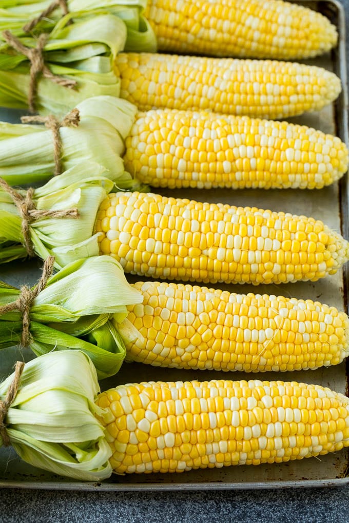 Bi-color corn on the cob on a sheet pan.