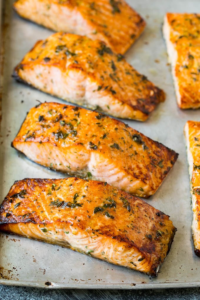 Broiled Salmon Fillets - Dinner at the Zoo