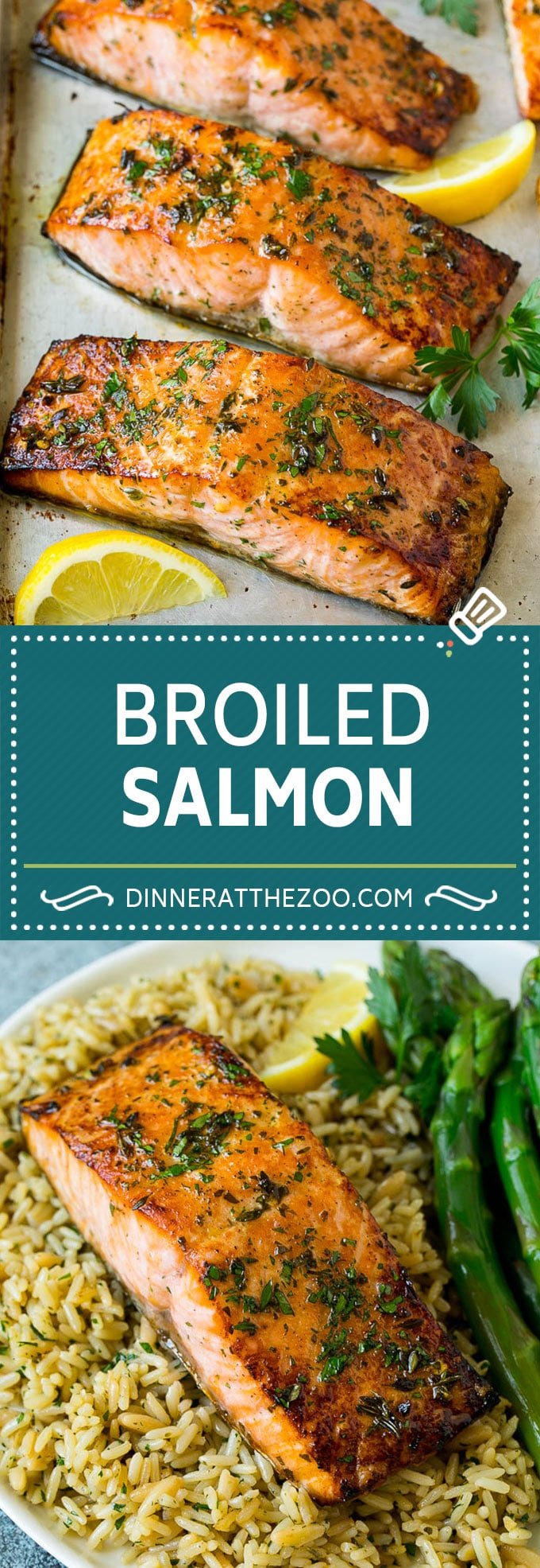 Broiled Salmon Recipe | Healthy Salmon Recipe #salmon #garlic #seafood #dinner #dinneratthezoo