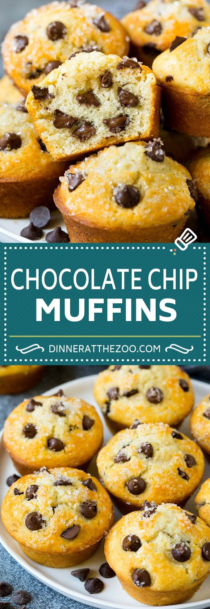 Chocolate Chip Muffins | Easy Muffin Recipe #chocolate #muffins #baking #breakfast #snack #dinneratthezoo