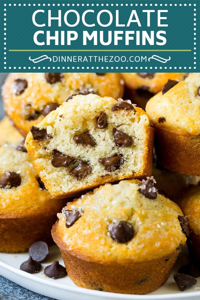 Chocolate Chip Muffins | Easy Muffin Recipe #chocolate #muffins #baking #breakfast #snack #dinneratthezoo