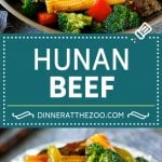 Hunan Beef Recipe | Beef Stir Fry #beef #stirfry #dinner #broccoli #dinneratthezoo