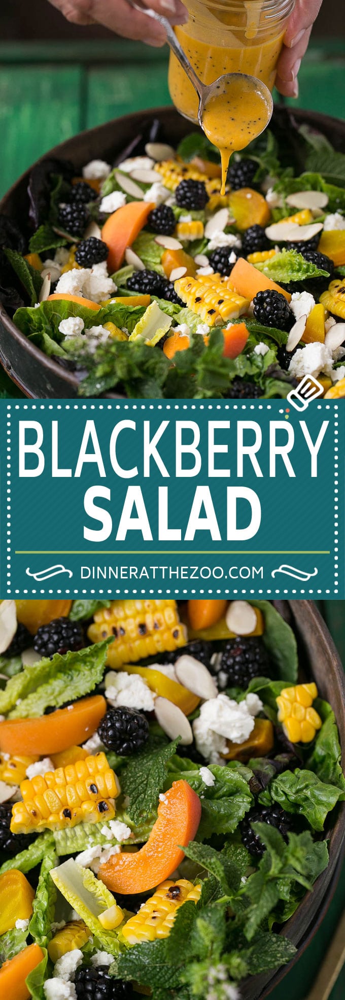 Blackberry Salad Recipe | Summer Salad #salad #blackberries #apricot #corn #dinner #healthy #dinneratthezoo
