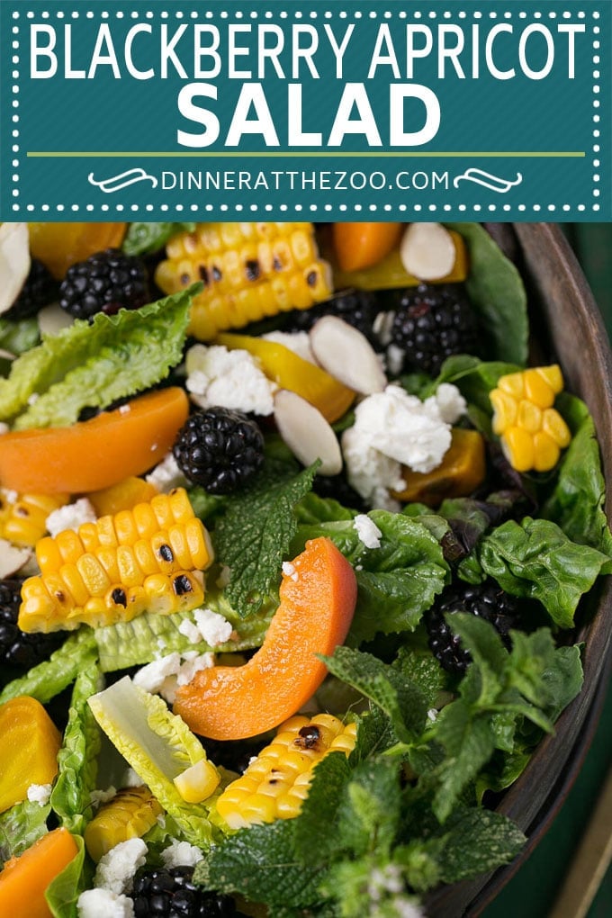 Blackberry Salad Recipe | Summer Salad #salad #blackberries #apricot #corn #dinner #healthy #dinneratthezoo