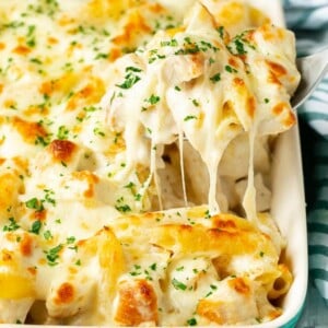 Chicken Alfredo Bake - Dinner at the Zoo