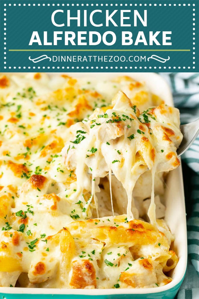 Chicken Alfredo Bake | Baked Pasta #chicken #pasta #cheese #comfortfood #dinner #dinneratthezoo