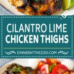 Grilled Chicken Thighs Recipe | Marinated Chicken Thighs #chicken #grilling #marinade #dinner #cilantro #lime #dinneratthezoo