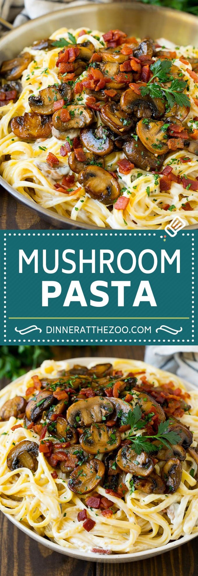 Mushroom Pasta Recipe | Creamy Pasta #pasta #mushrooms #bacon #dinner #dinneratthezoo