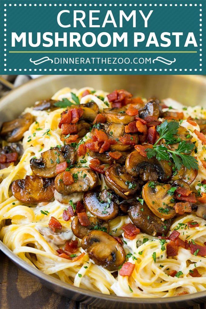 Mushroom Pasta Recipe | Creamy Pasta #pasta #mushrooms #bacon #dinner #dinneratthezoo