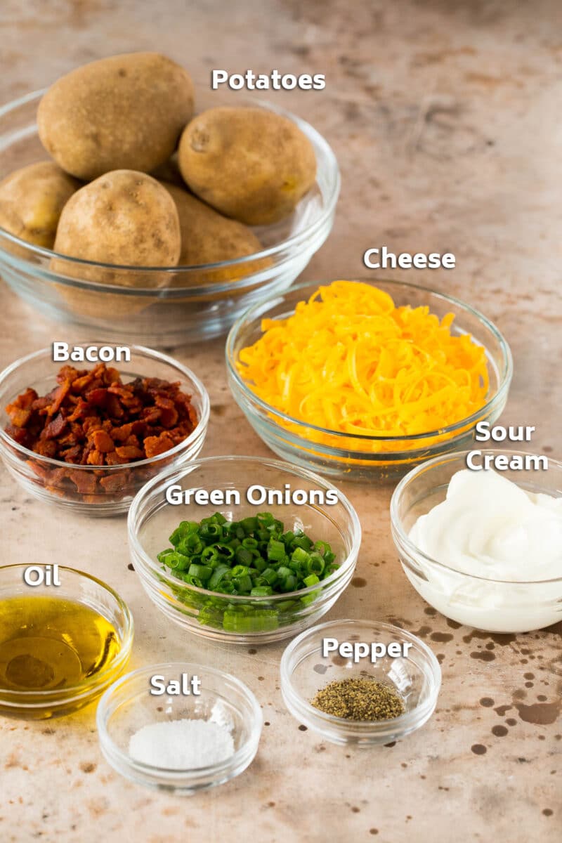 Potato Skins Recipe Dinner at the Zoo