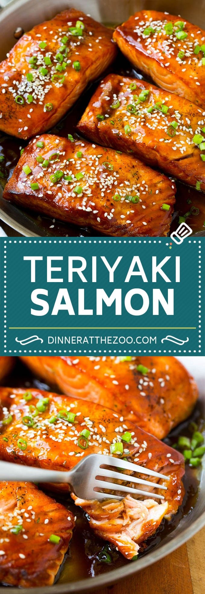 Salmon Teriyaki - Dinner at the Zoo