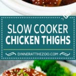 Slow Cooker Chicken Thighs | Crock Pot Chicken Thighs | Honey Garlic Chicken #chicken #slowcooker #crockpot #dinner #dinneratthezoo