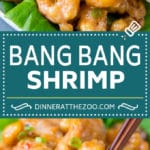 Bang Bang Shrimp Recipe | Fried Shrimp #shrimp #appetizer #dinner #dinneratthezoo #copycatrecipe