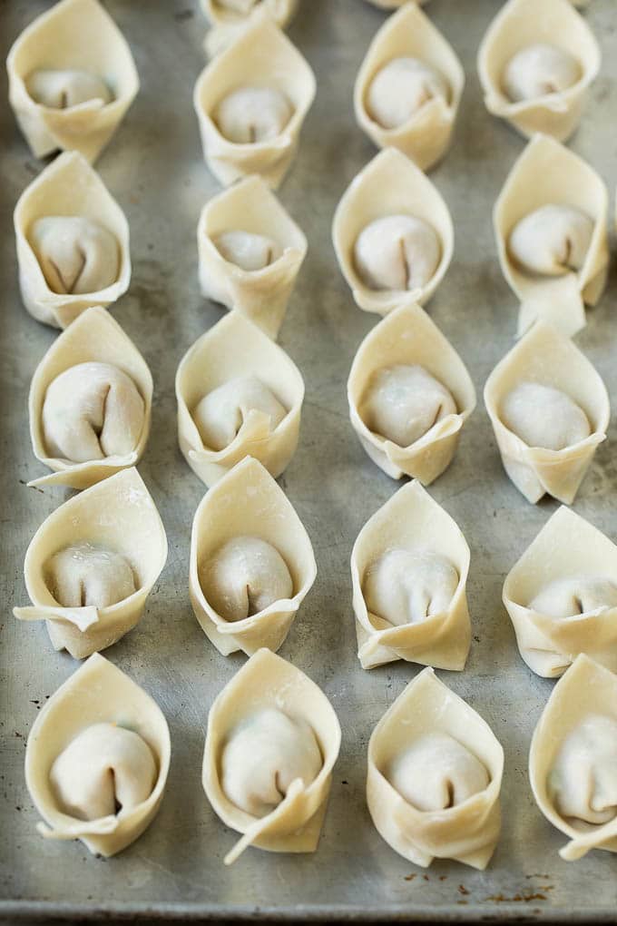 Fried Wonton Recipe - 6