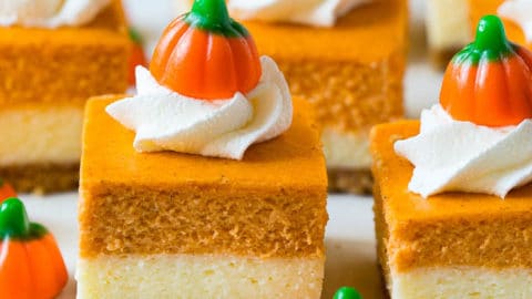 Pumpkin Cheesecake Bars Dinner At The Zoo