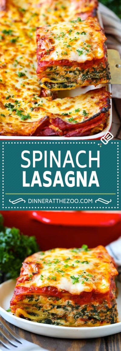 Spinach Lasagna - Dinner at the Zoo