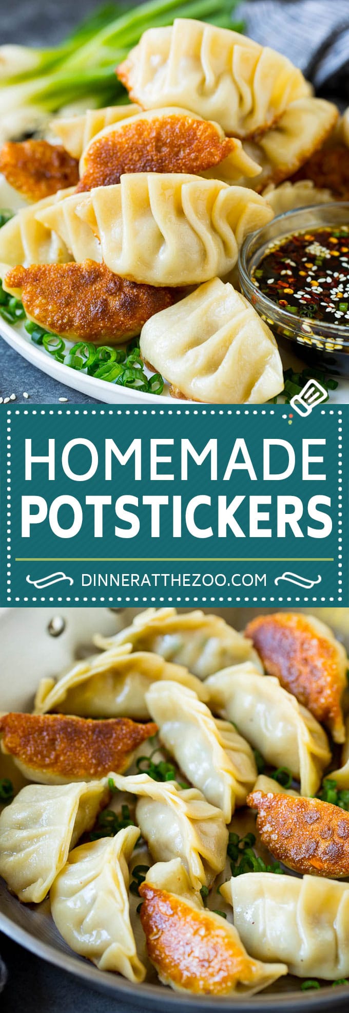Potstickers Recipe | Dumpling Recipe #potstickers #dumpling #appetizer #pork #dinner #dinneratthezoo