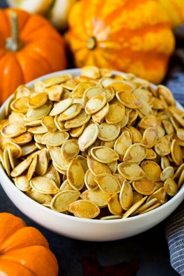 A bowl of roasted pumpkin seeds surrounded by pumpkins and gourds.