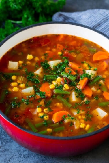 Vegetable Soup - Dinner at the Zoo