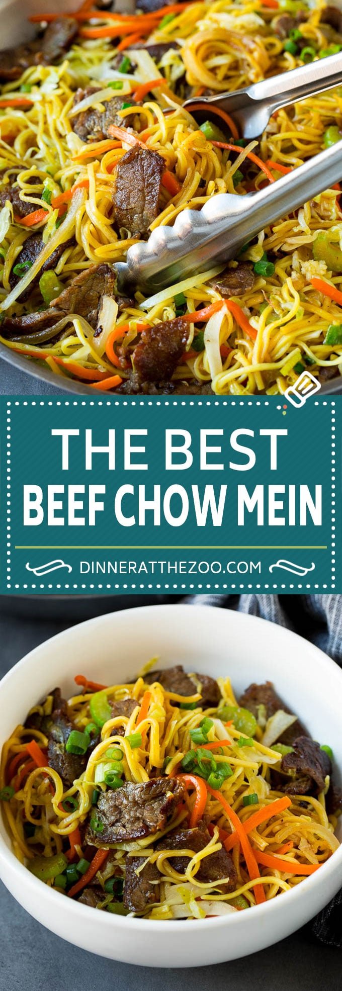 Beef Chow Mein - Dinner at the Zoo