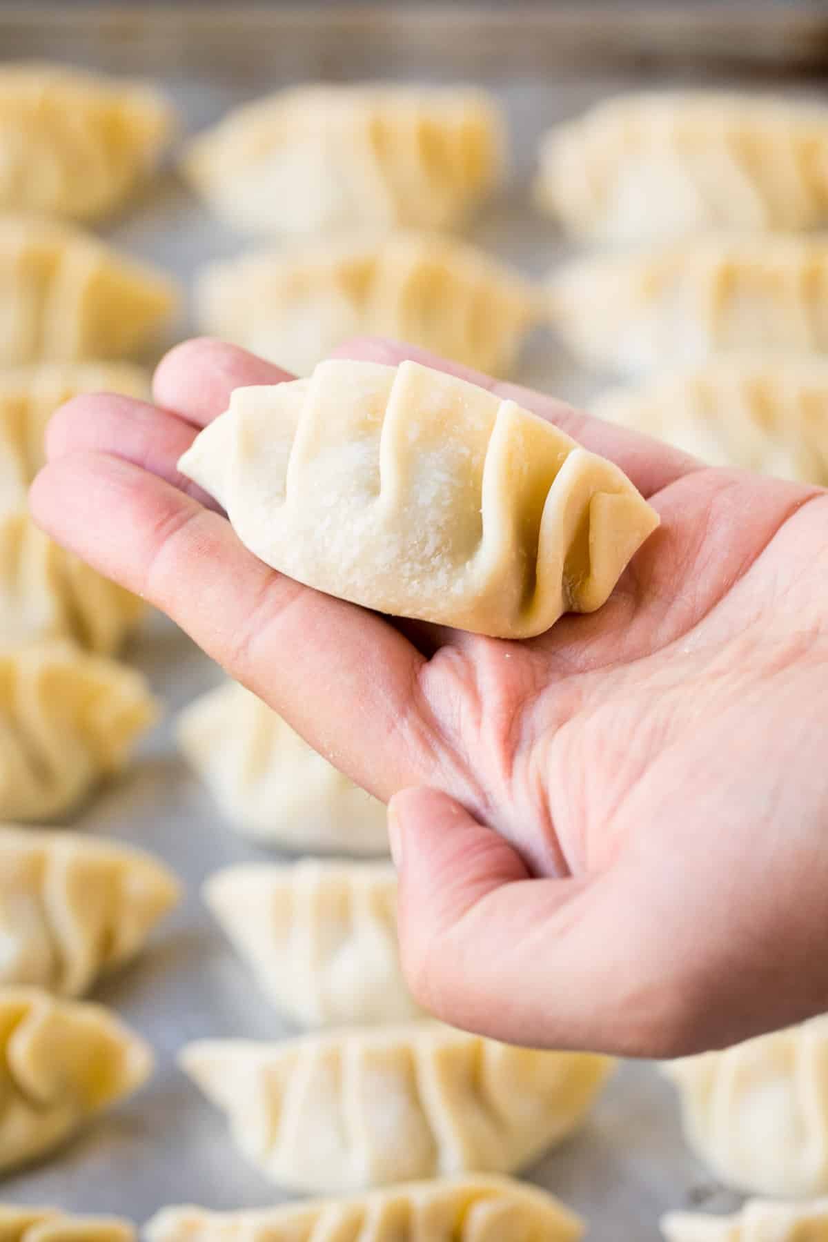 A hand holding a folded dumpling.