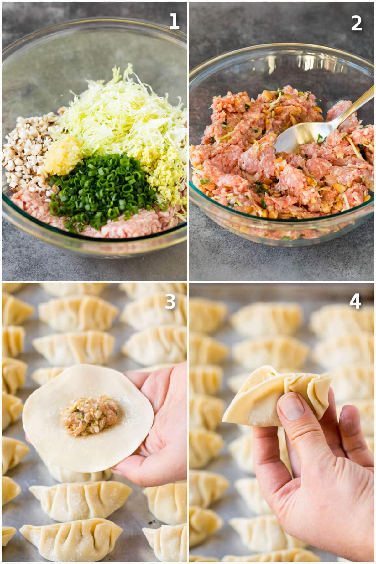 Step by step shots showing how to make potsticker filling and stuff dumpling wrappers.