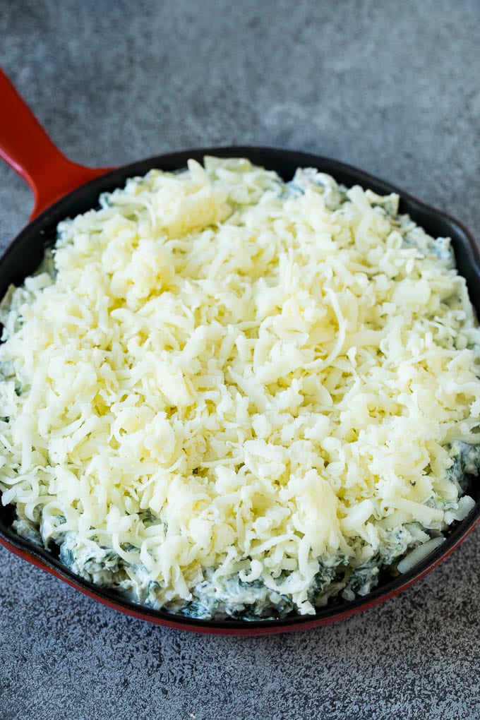 Spinach Artichoke Dip Dinner at the Zoo