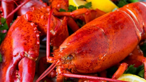 How to cook a lobster with boiled lobsters on a serving platter.