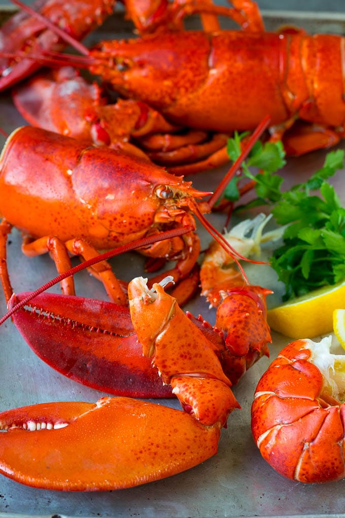 A cooked lobster broken up into pieces.