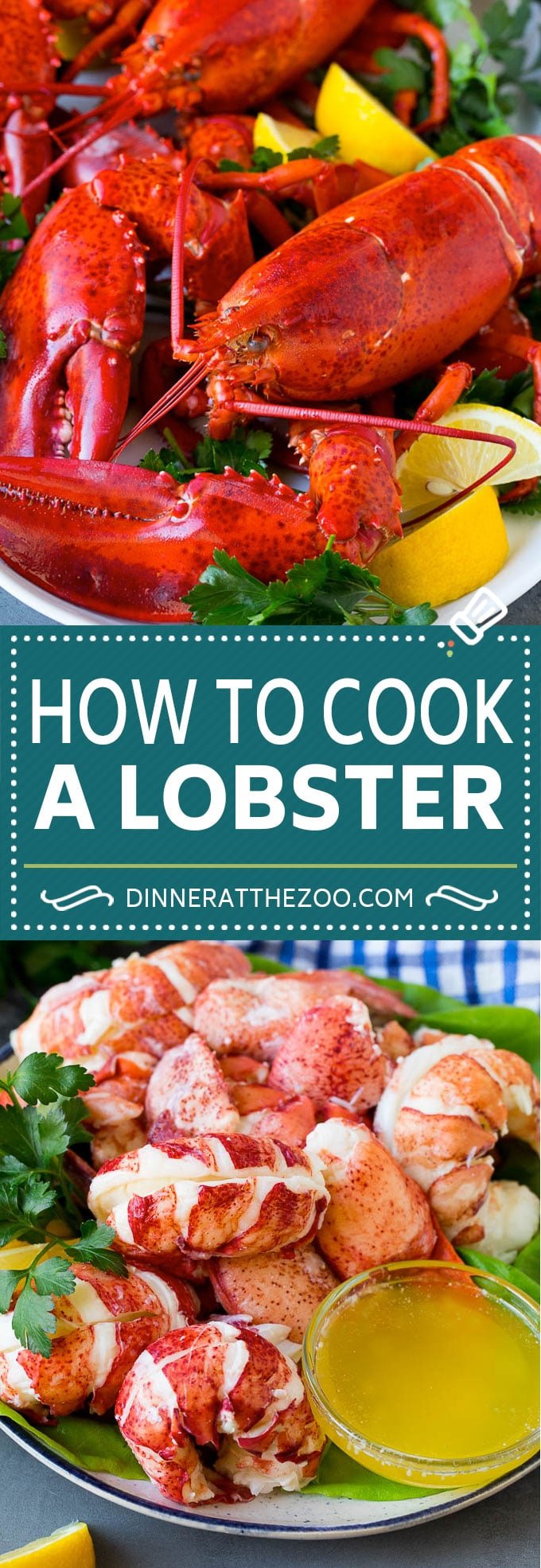 How to Cook a Lobster - Dinner at the Zoo