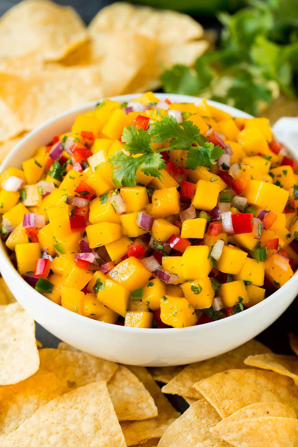 Mango Salsa Recipe – Dinner at the Zoo – N muasafat