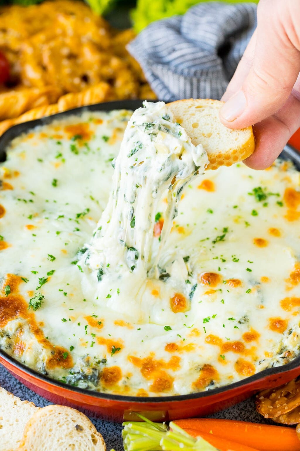 Spinach Artichoke Dip Dinner at the Zoo