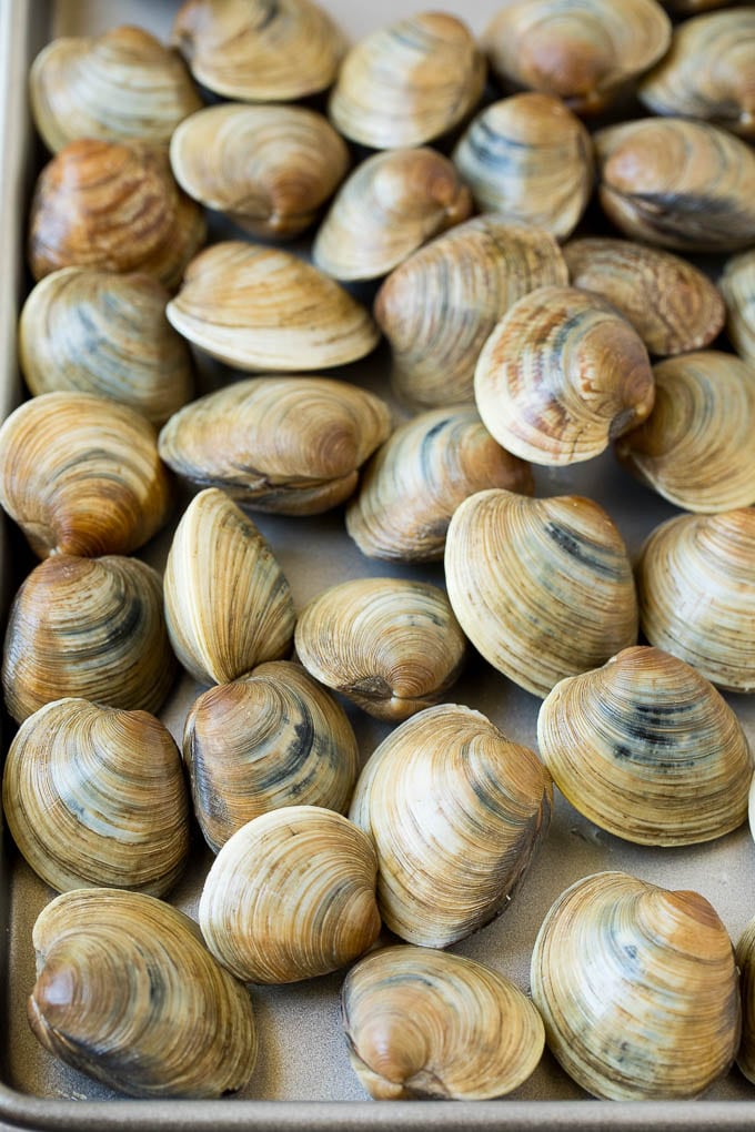 Fresh clams on a sheet pan.