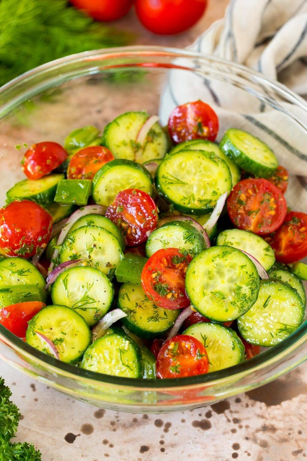 Cucumber Tomato Salad - Dinner at the Zoo