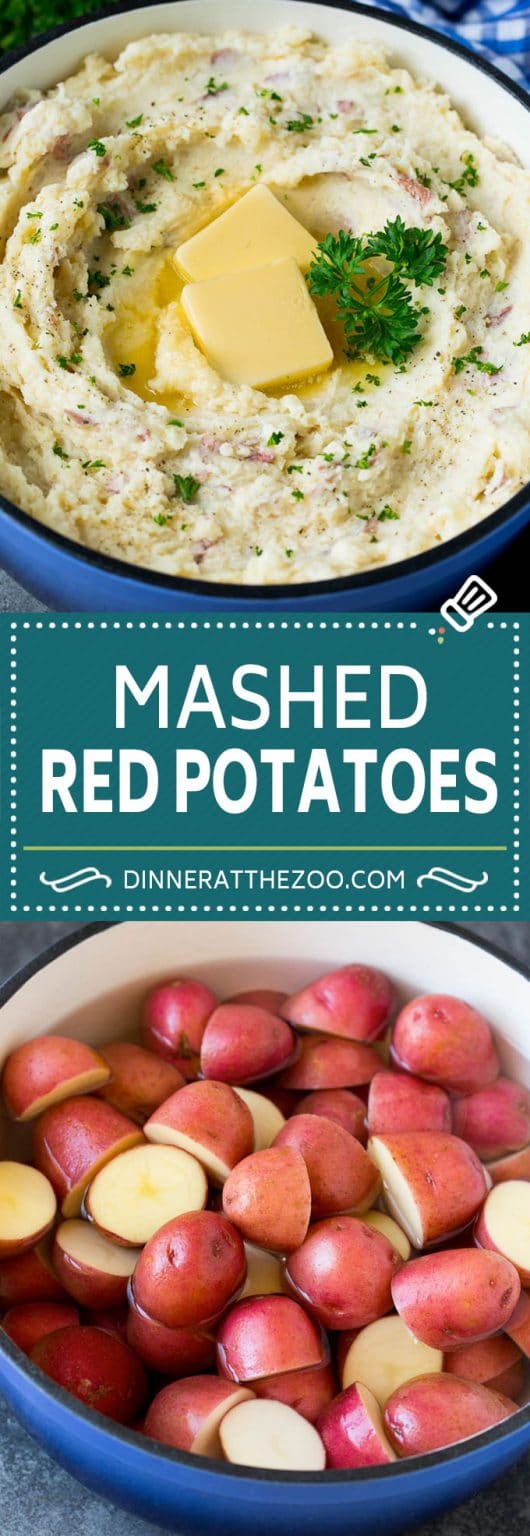 Mashed Red Potatoes Dinner at the Zoo