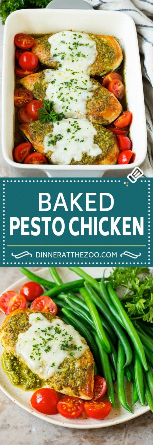 Pesto Chicken Recipe Dinner at the Zoo