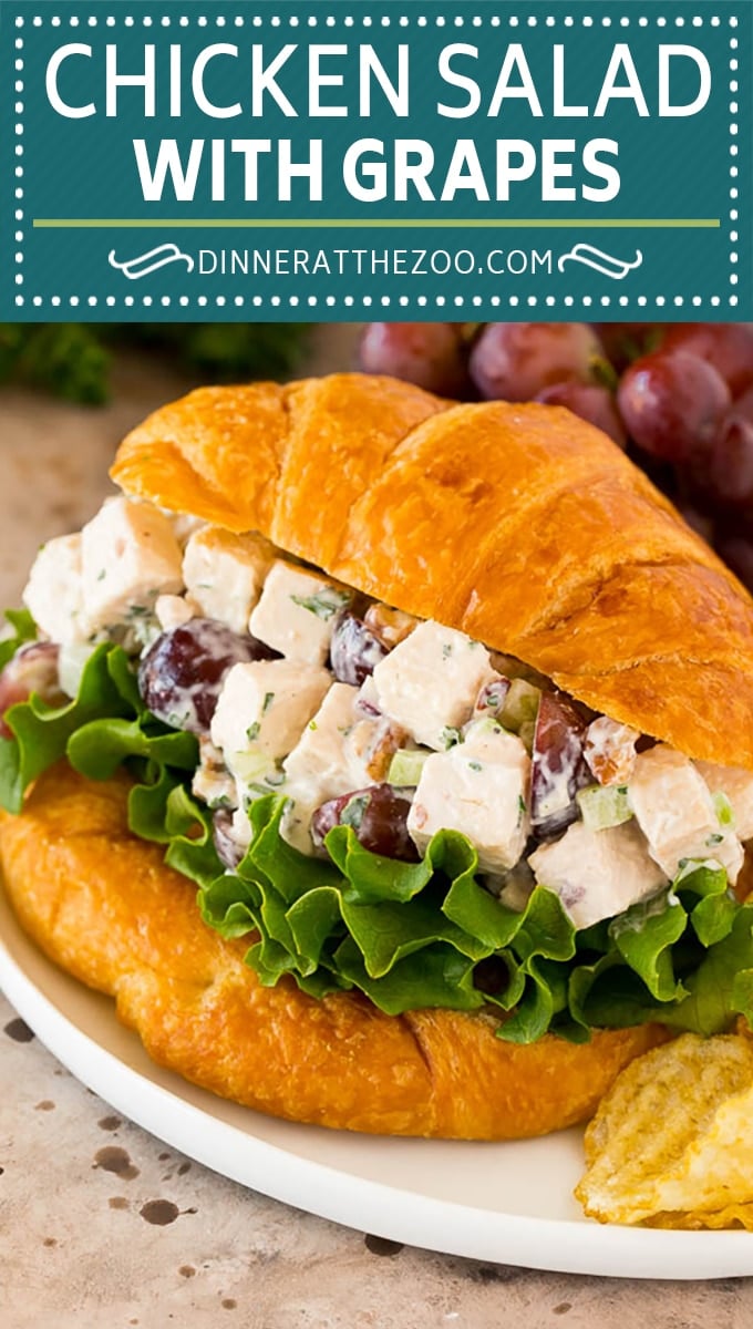 This chicken salad with grapes is a blend of chicken, fresh veggies, pecans and fruit, all tossed together in a creamy dressing.