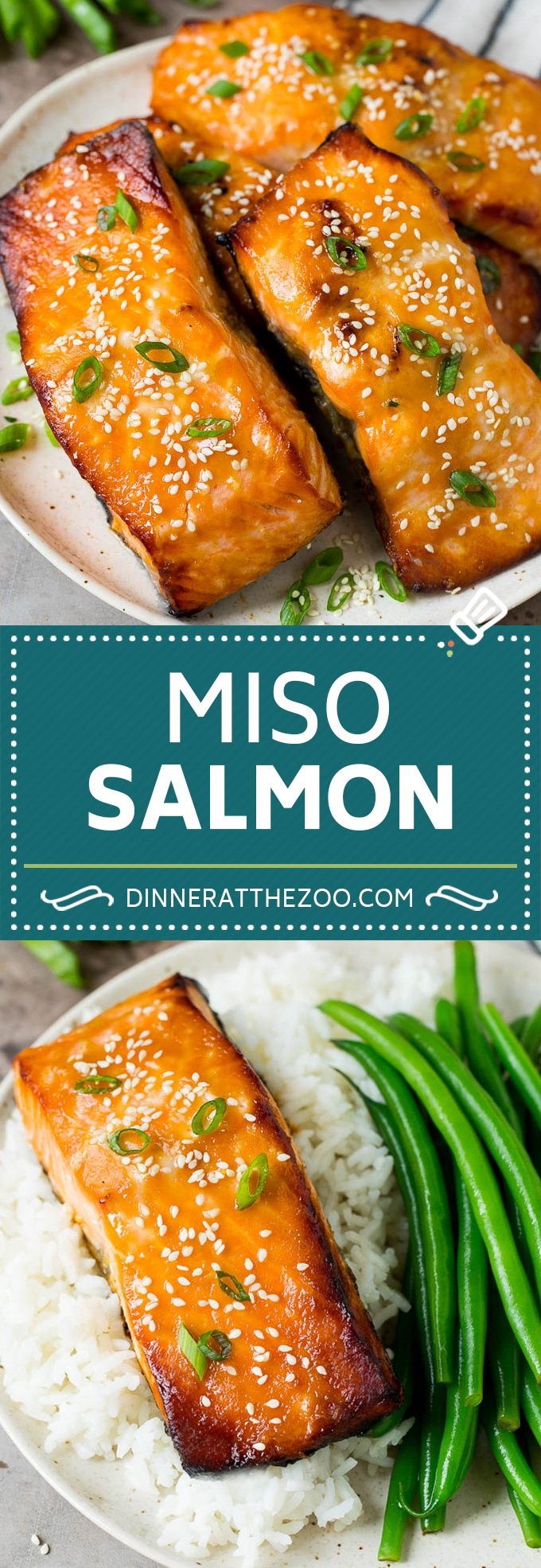 Miso Salmon Dinner at the Zoo