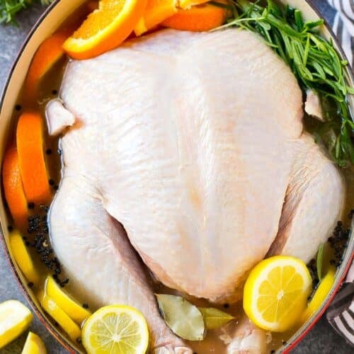 Turkey Brine Recipe Dinner at the Zoo